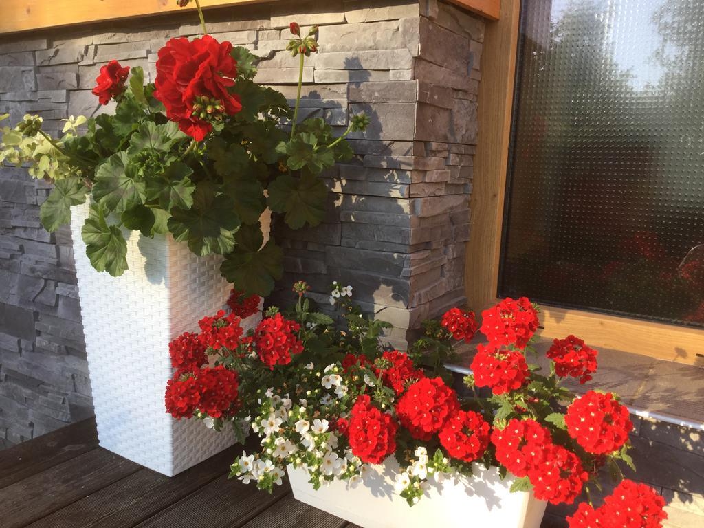 Vysoké Tatry Vila Anna מראה חיצוני תמונה
